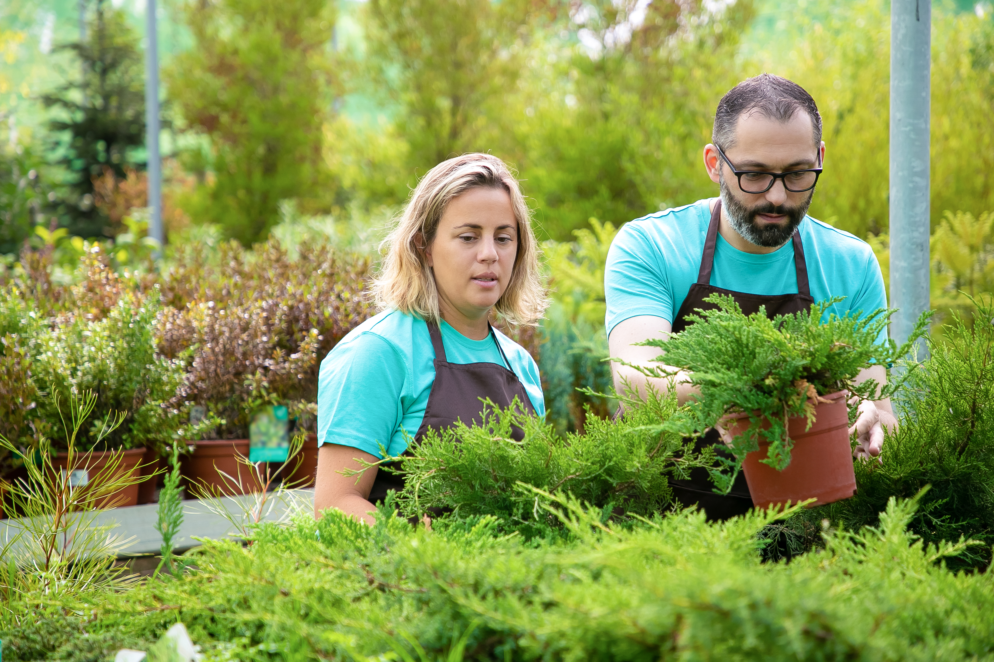 Landscaper vs Gardener What's the Difference?