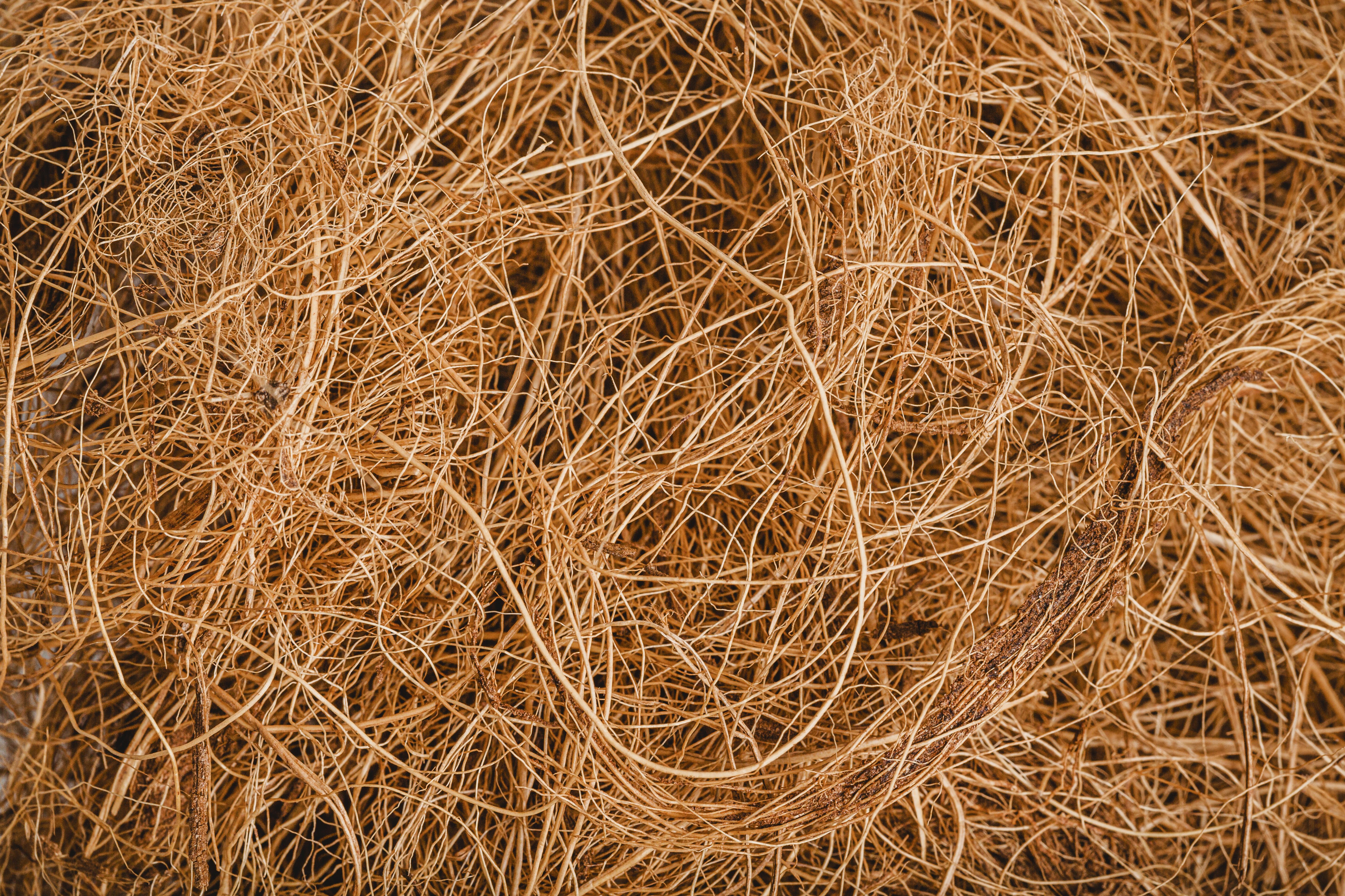 Bulk Coco coir