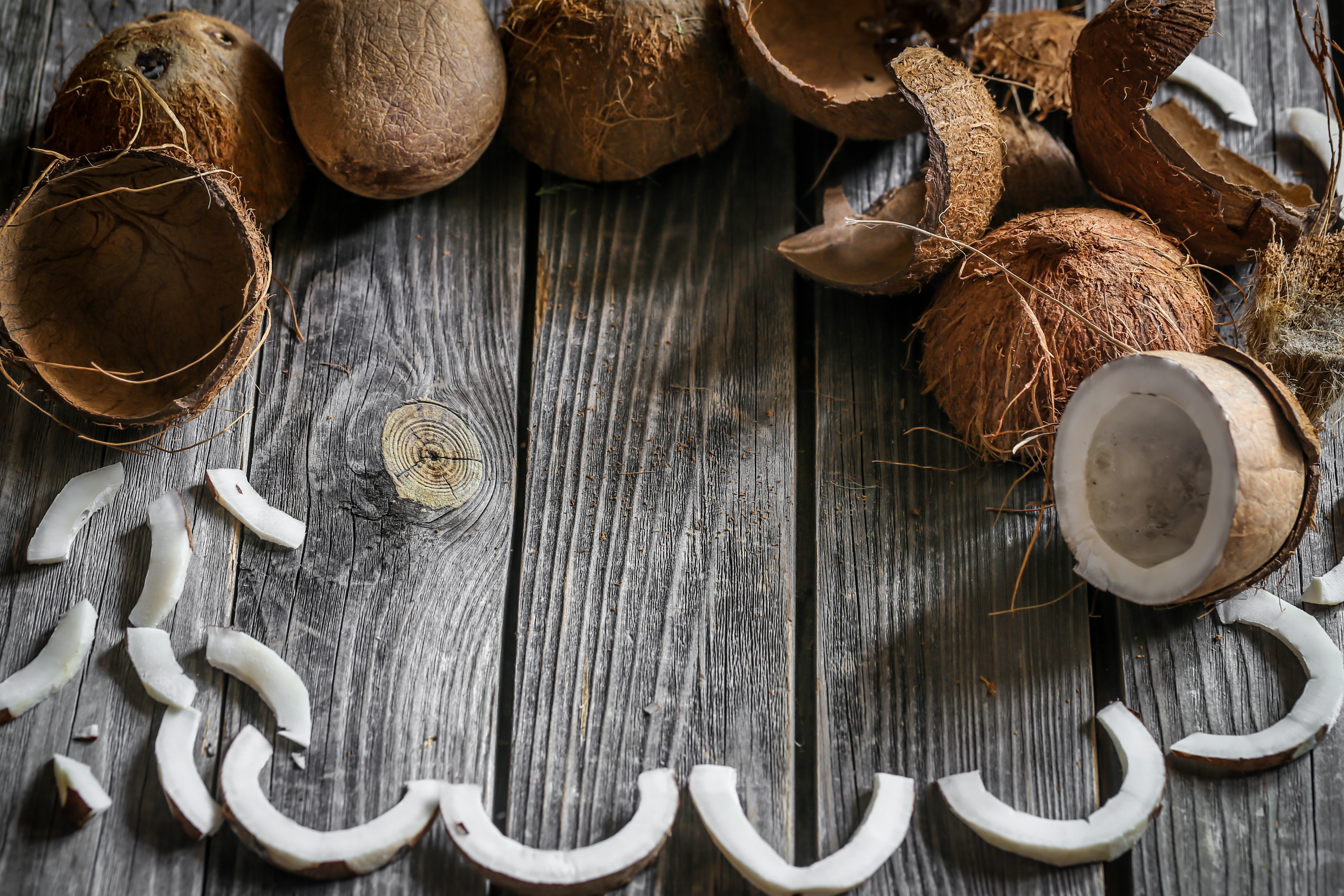 Coco Coir Soir